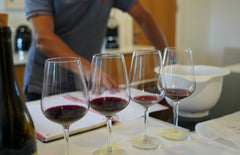 Deciding on our 2020 red-blends